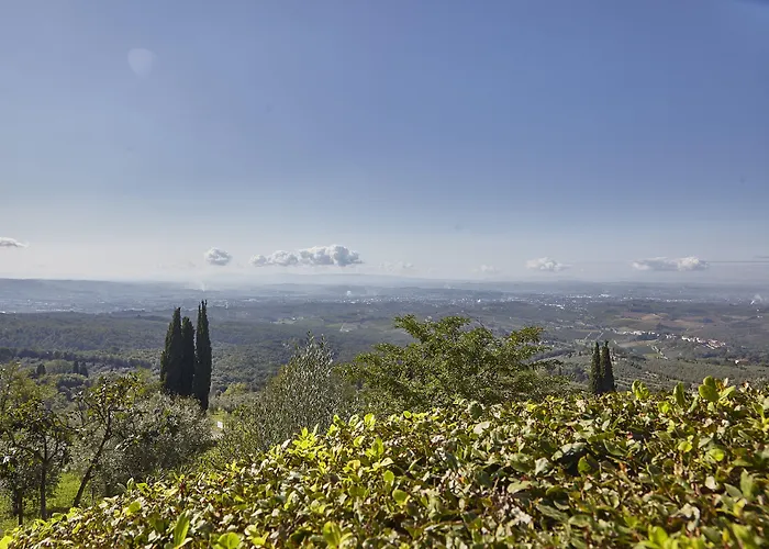 Colle Da Vinci