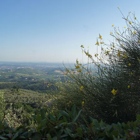 Colle Da Lantgård Vinci