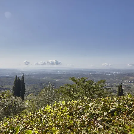 Colle Da Vinci