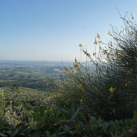 Colle Da Farm stay Vinci